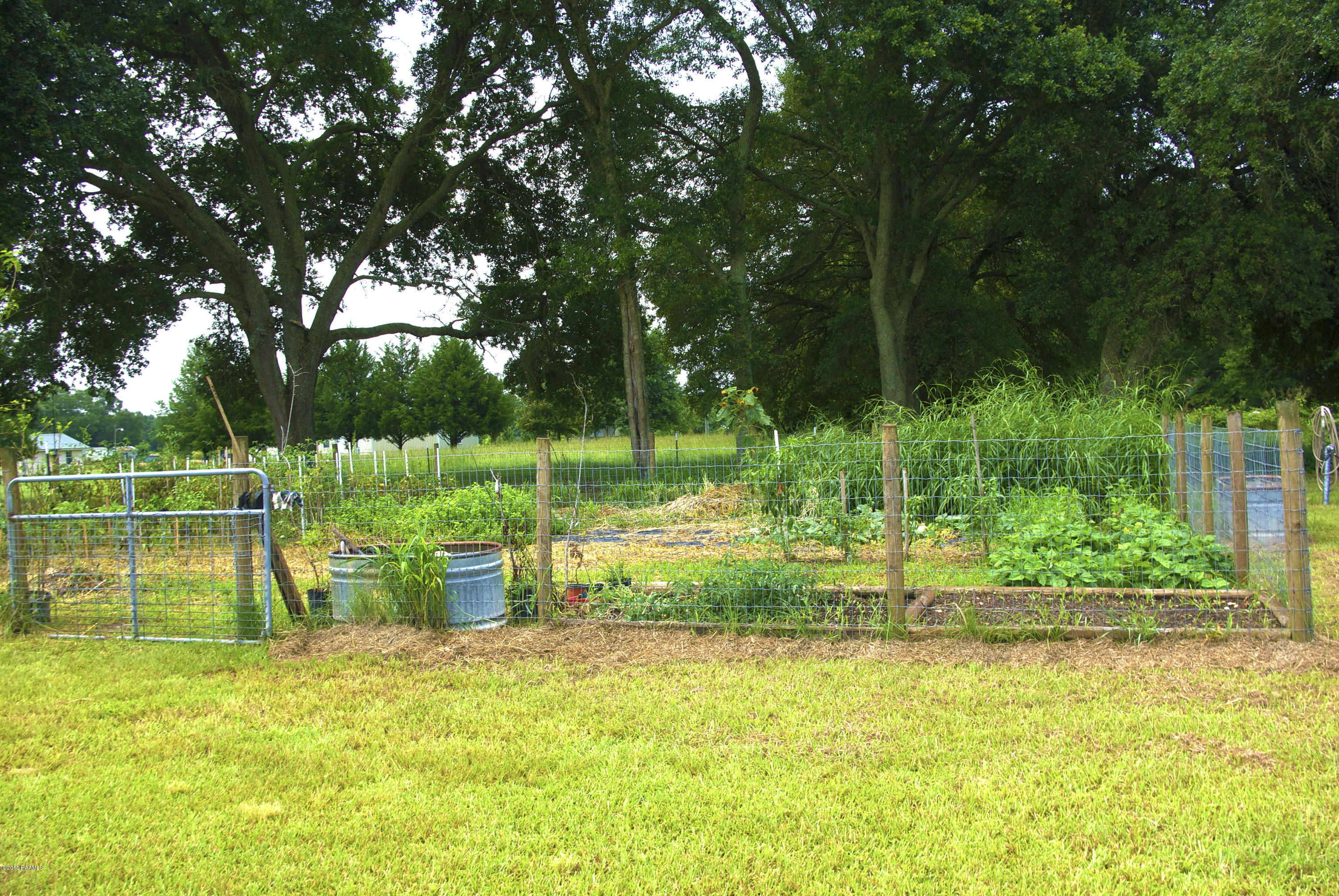 925 Texas Eastern Road Opelousas, LA 70570 - Photo 11 of 45 GARDEN
