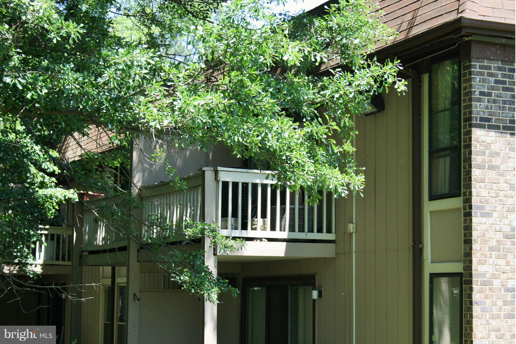 5822 Royal Ridge Drive, Unit S Springfield, VA 22152 - Photo 15 of 21 Back Patio