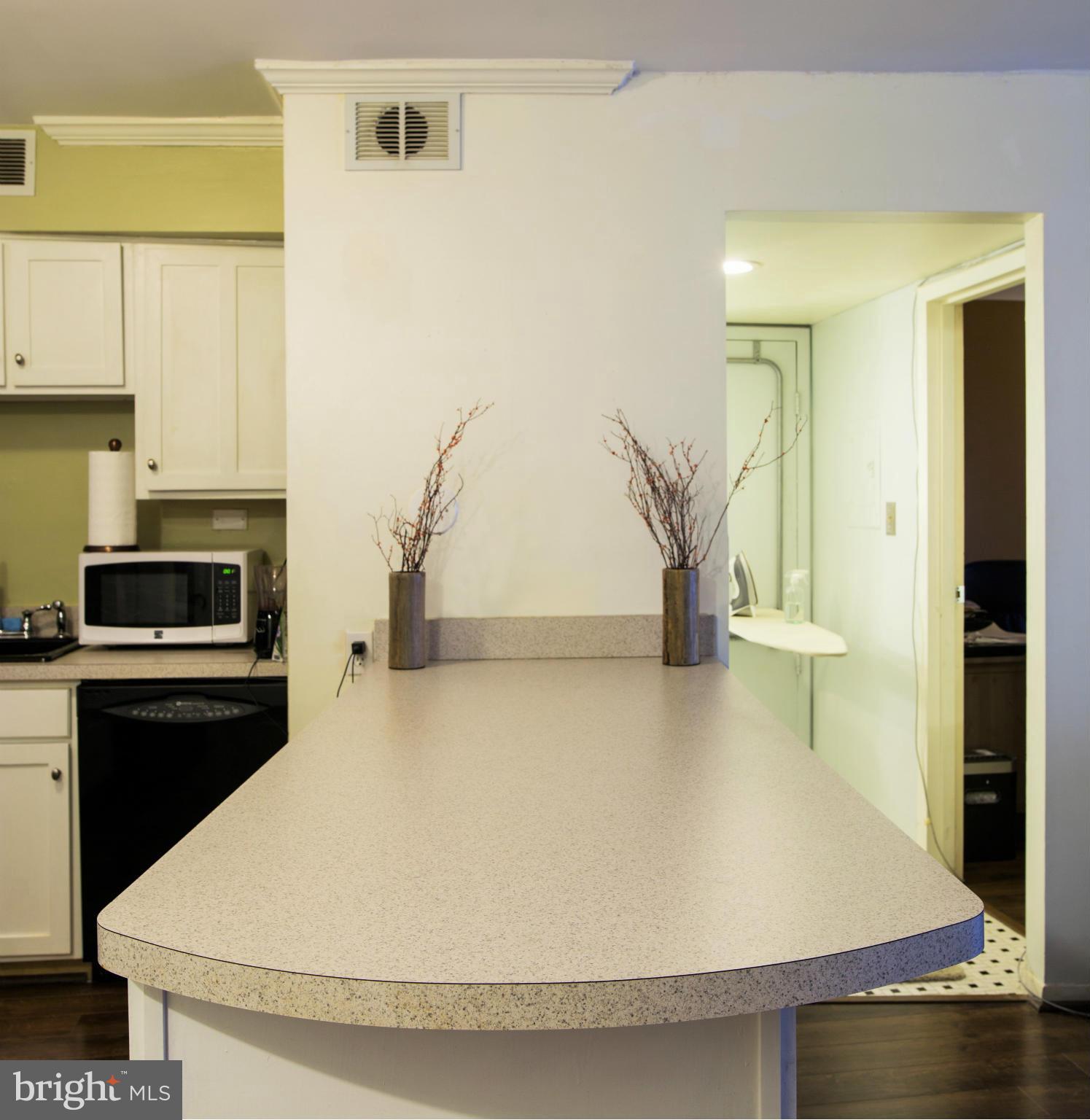 5822 Royal Ridge Drive, Unit S Springfield, VA 22152 - Photo 4 of 21 Remodeled Kitchen