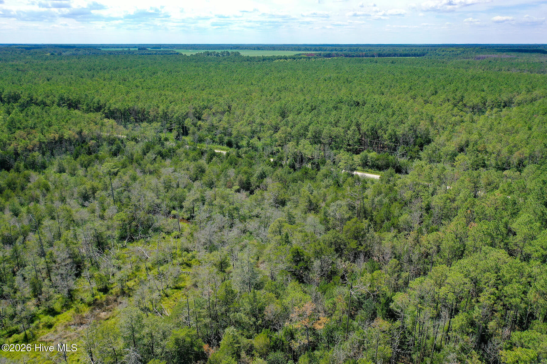 4.57-acres Meekins Road Bayboro, NC 28515 - Photo 3 of 17