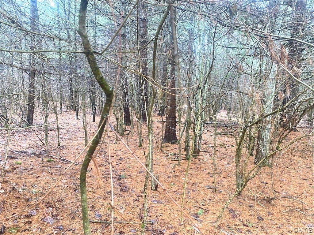 10138 Schuknecht Road Hume, NY 14735 - Photo 2 of 10