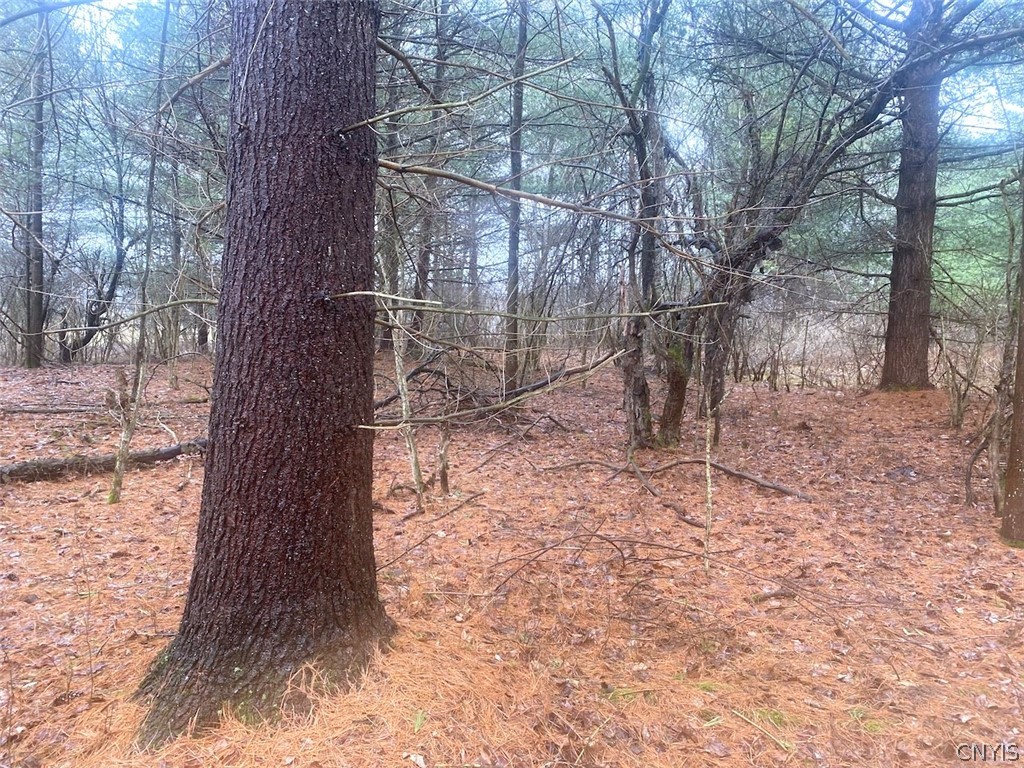 10138 Schuknecht Road Hume, NY 14735 - Photo 7 of 10