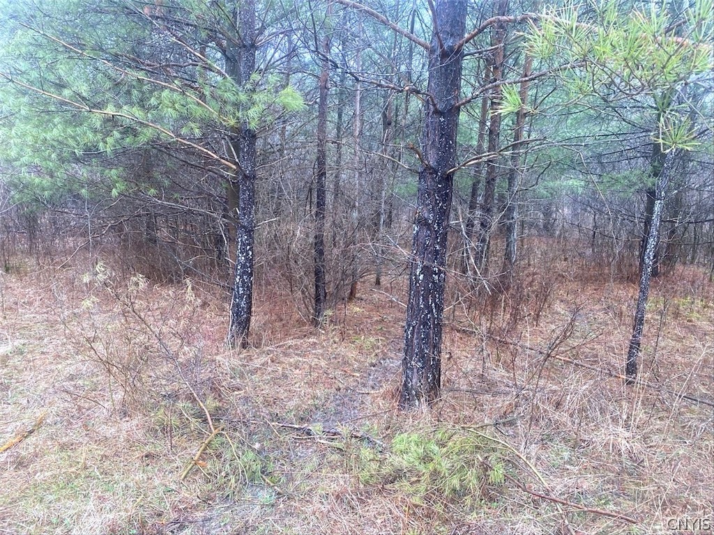 10138 Schuknecht Road Hume, NY 14735 - Photo 8 of 10