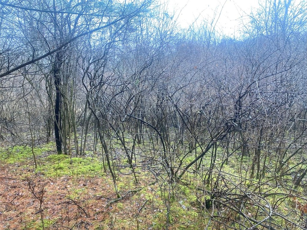 10138 Schuknecht Road Hume, NY 14735 - Photo 9 of 10