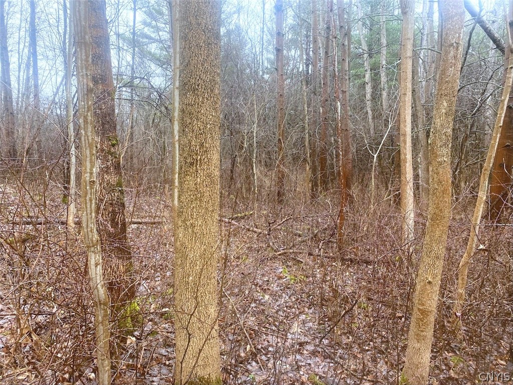 10138 Schuknecht Road Hume, NY 14735 - Photo 10 of 10