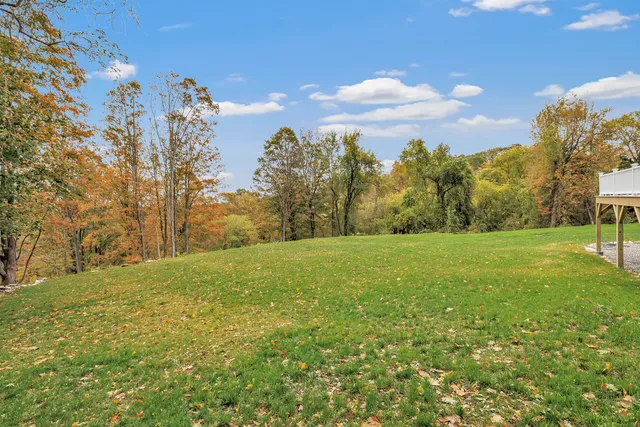 a view of a field with trees in the background