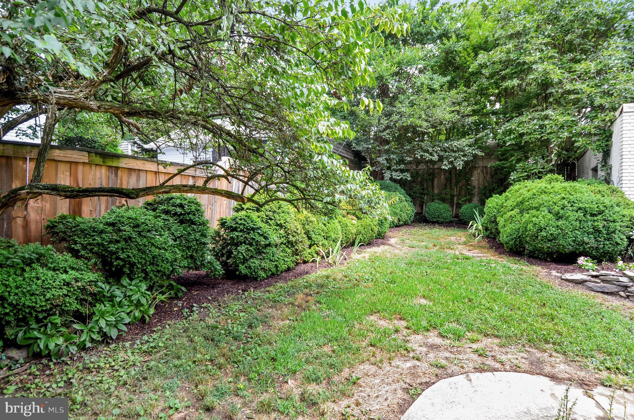 3305 Woodley Road Northwest Washington, DC 20008 - Photo 13 of 30 Rear gardens
