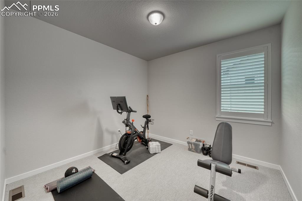 10059 Owl Perch Loop Colorado Springs, CO 80908 - Photo 33 of 50 Workout area with carpet and a textured ceiling