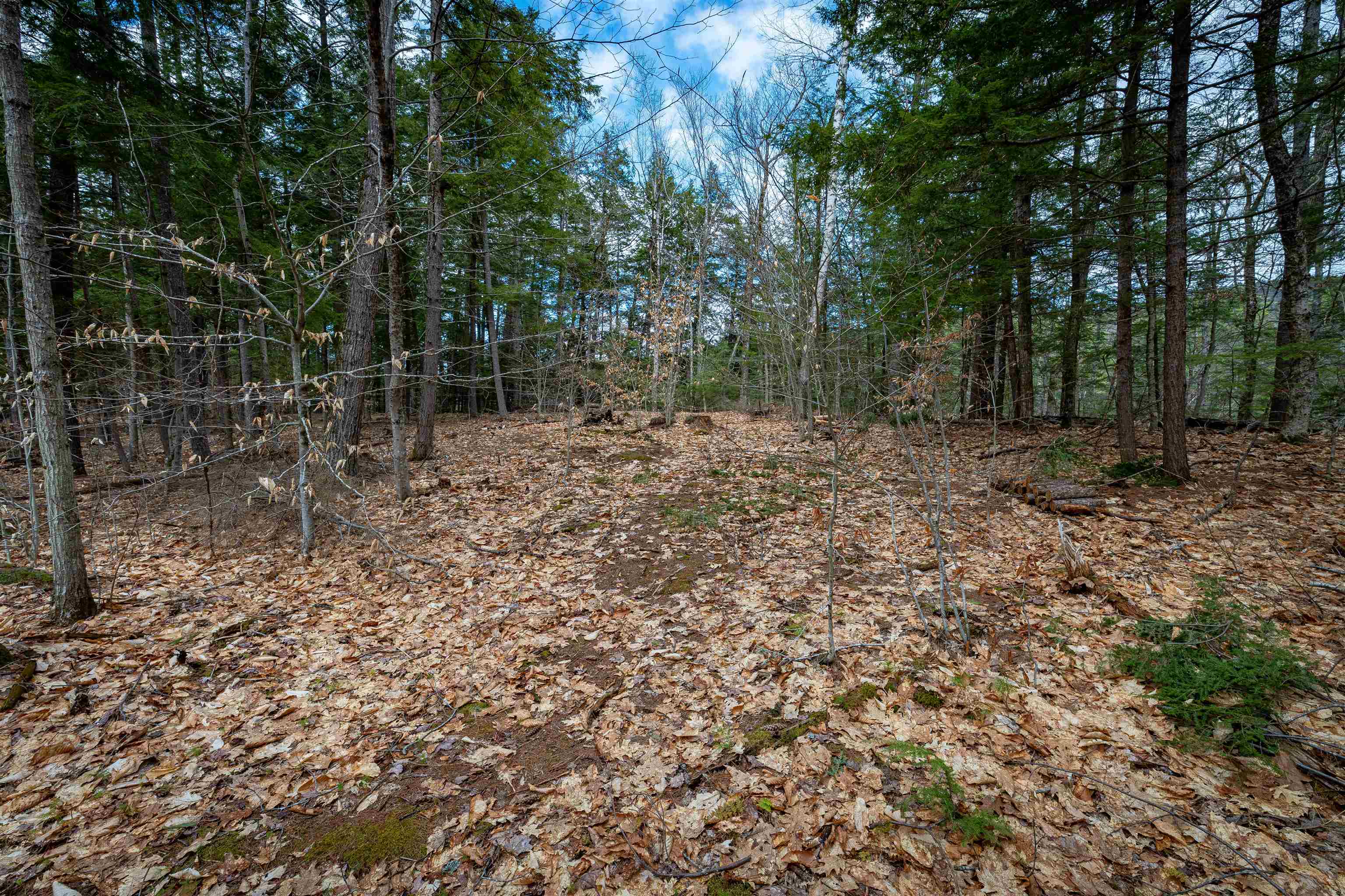 0 Rte 153/ Eaton Road Madison, NH 03849 - Photo 16 of 32 Gallery Image 16