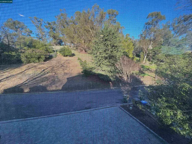 a view of a pathway both side of building