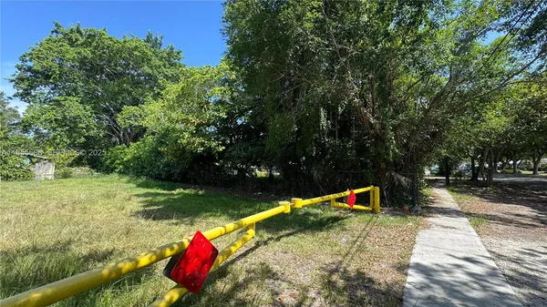 a view of a park with large trees