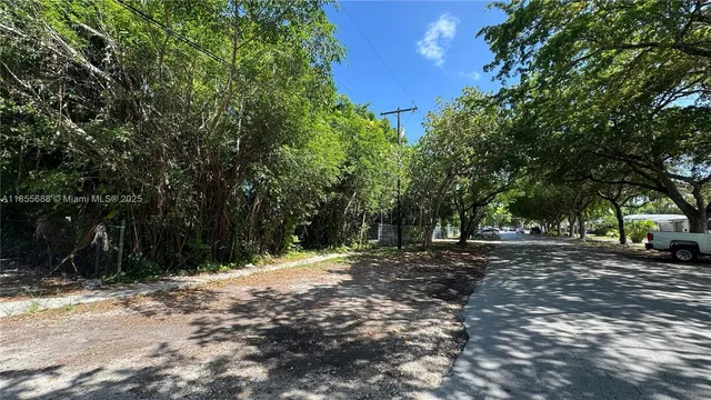 a view of a tree with a yard
