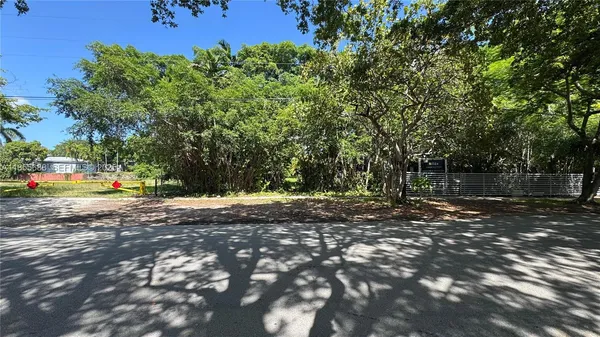 a view of a tree in the middle of a yard