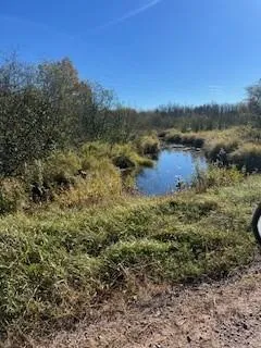 $165,000 | 0 Wick Road, Saginaw, MN 55779