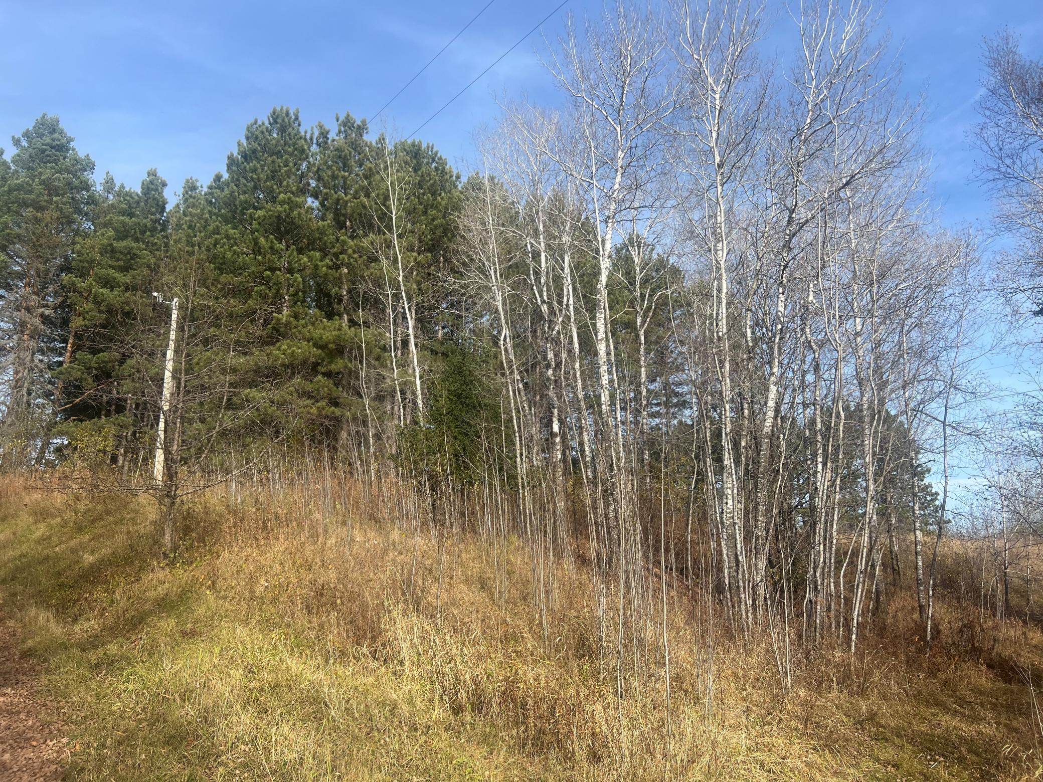 0 Wick Road Saginaw, MN 55779 - Photo 2 of 3