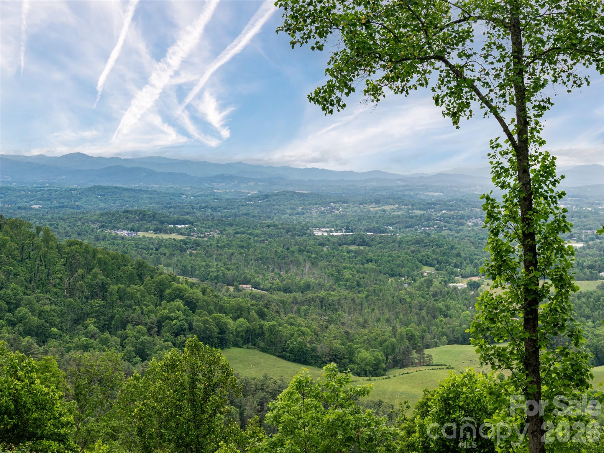 29 Elk Ridge Drive Weaverville, NC 28787 - Photo 33 of 48