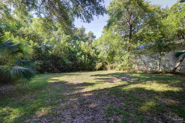 a view of a yard with a tree