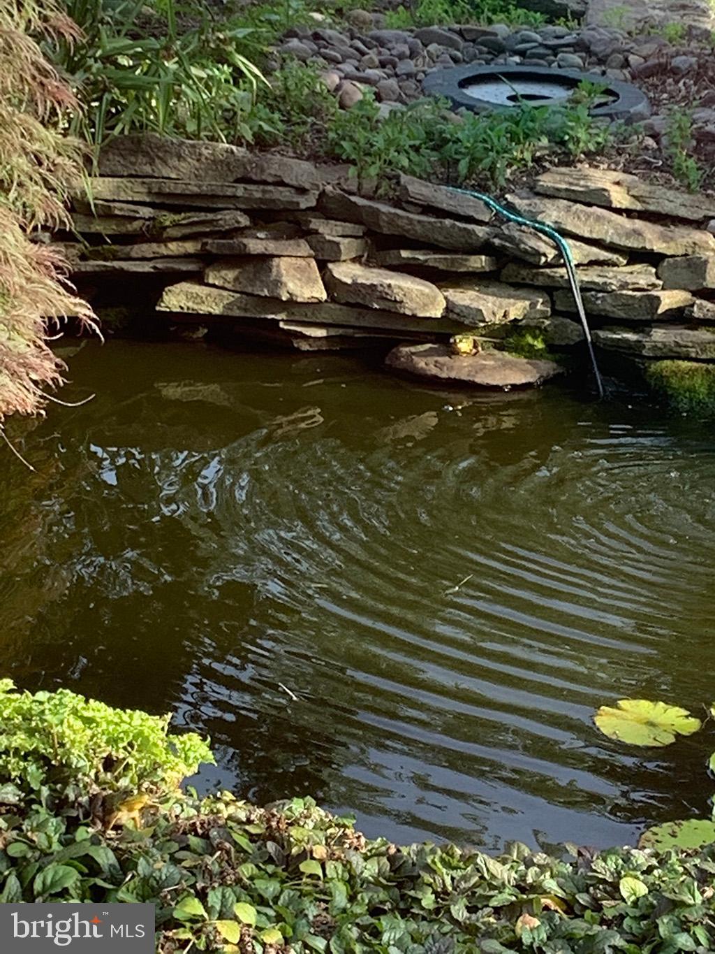 12 Lisa Road Sinking Spring, PA 19608 - Photo 57 of 59