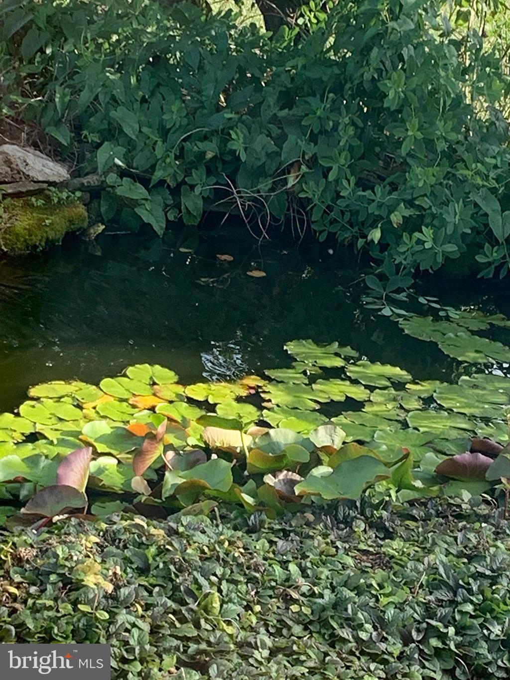 12 Lisa Road Sinking Spring, PA 19608 - Photo 58 of 59