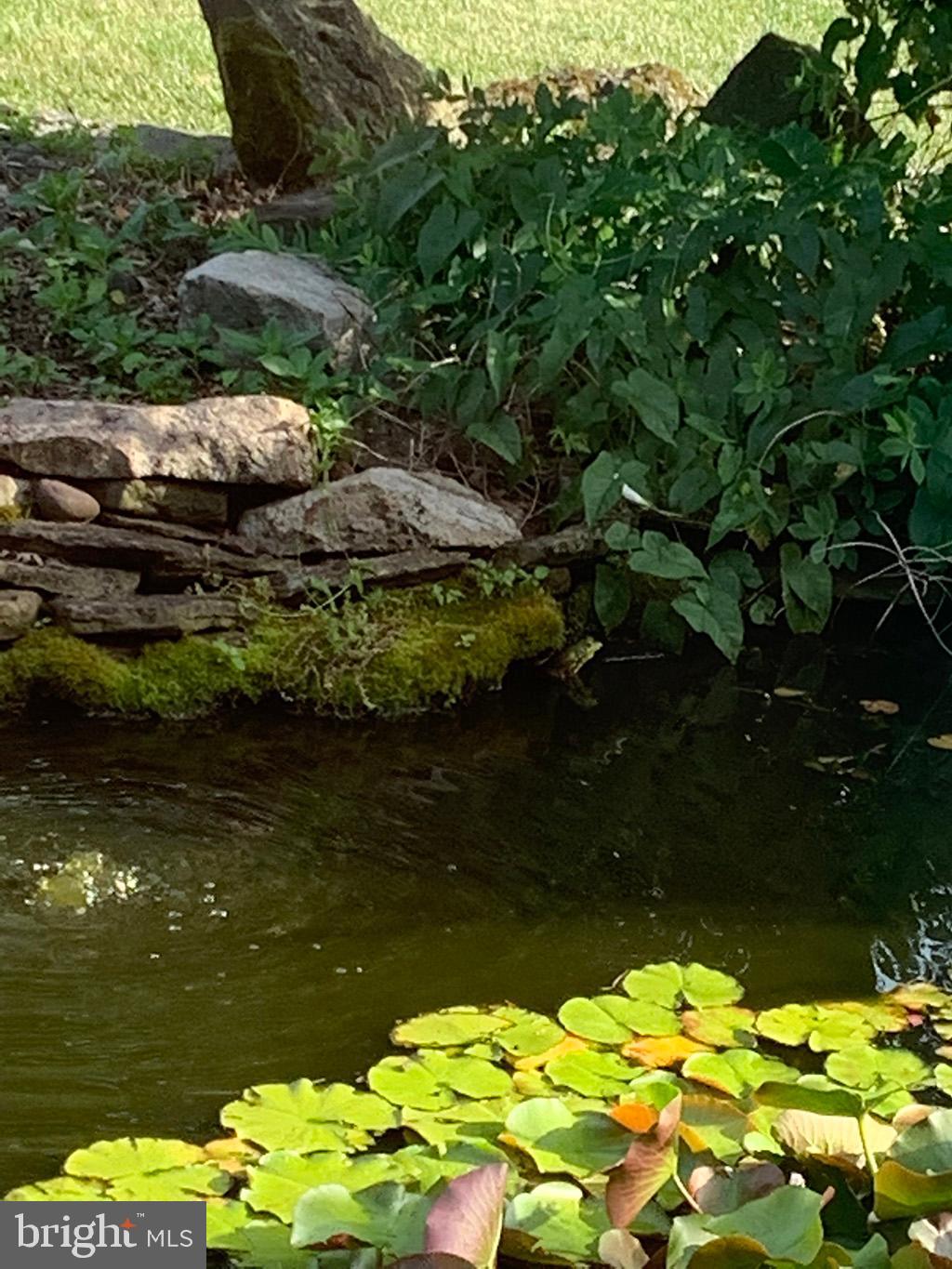 12 Lisa Road Sinking Spring, PA 19608 - Photo 59 of 59