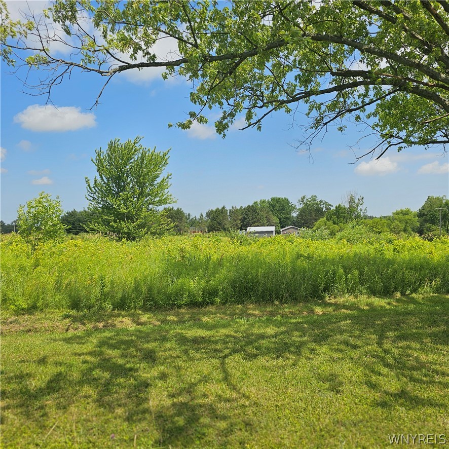 10248 Clarksburg Road North Collins, NY 14057 - Photo 33 of 35
