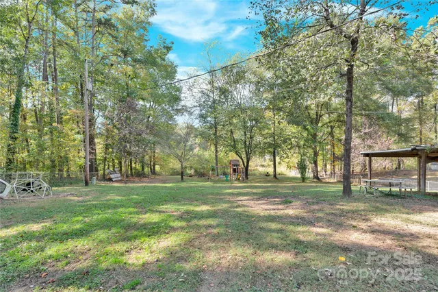 a view of a park with large trees
