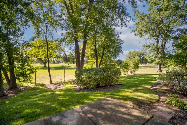a view of a yard with plants and large trees