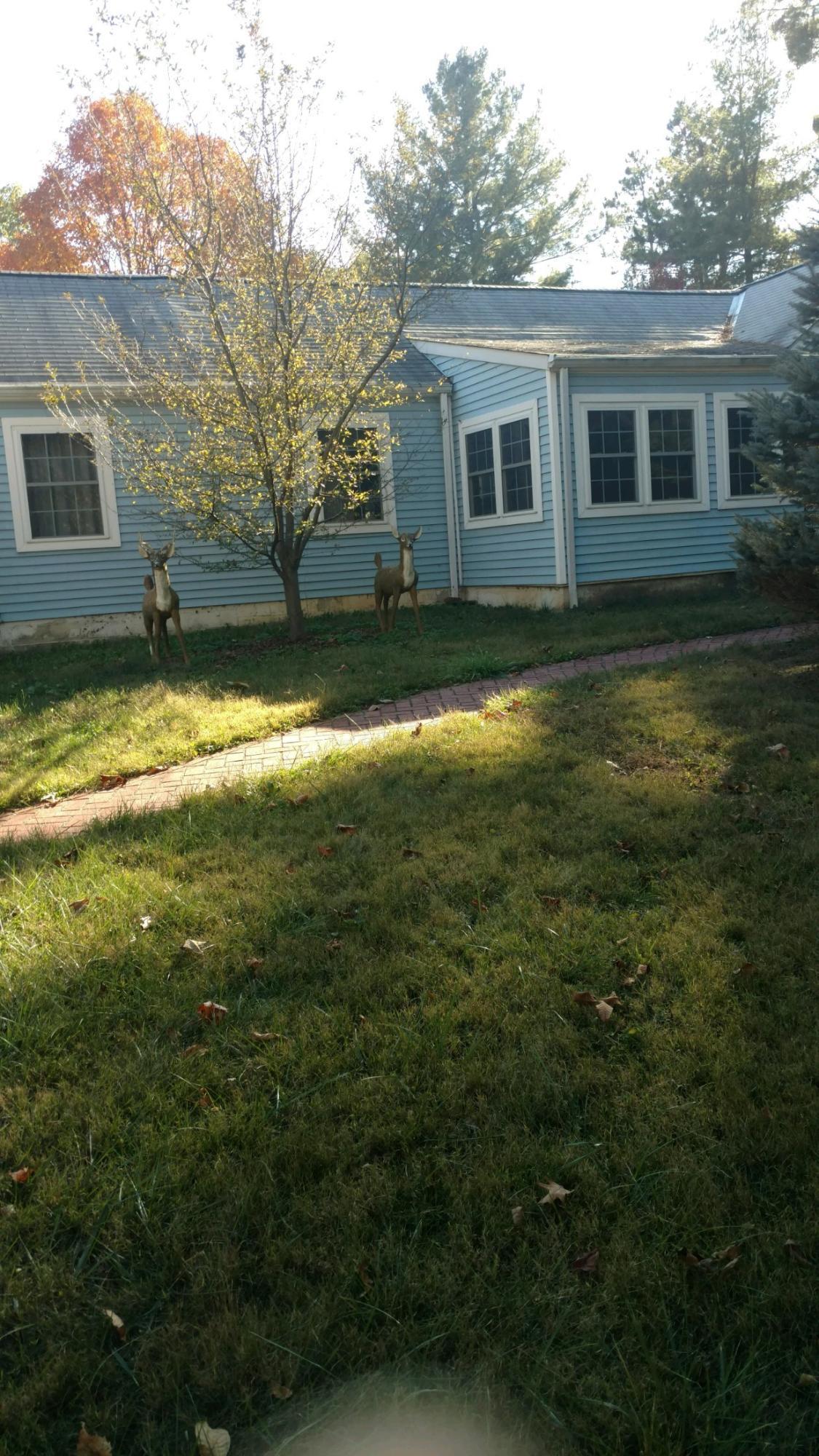 441 West Orange Road Powell, OH 43065 - Photo 2 of 10 Gallery Image 2