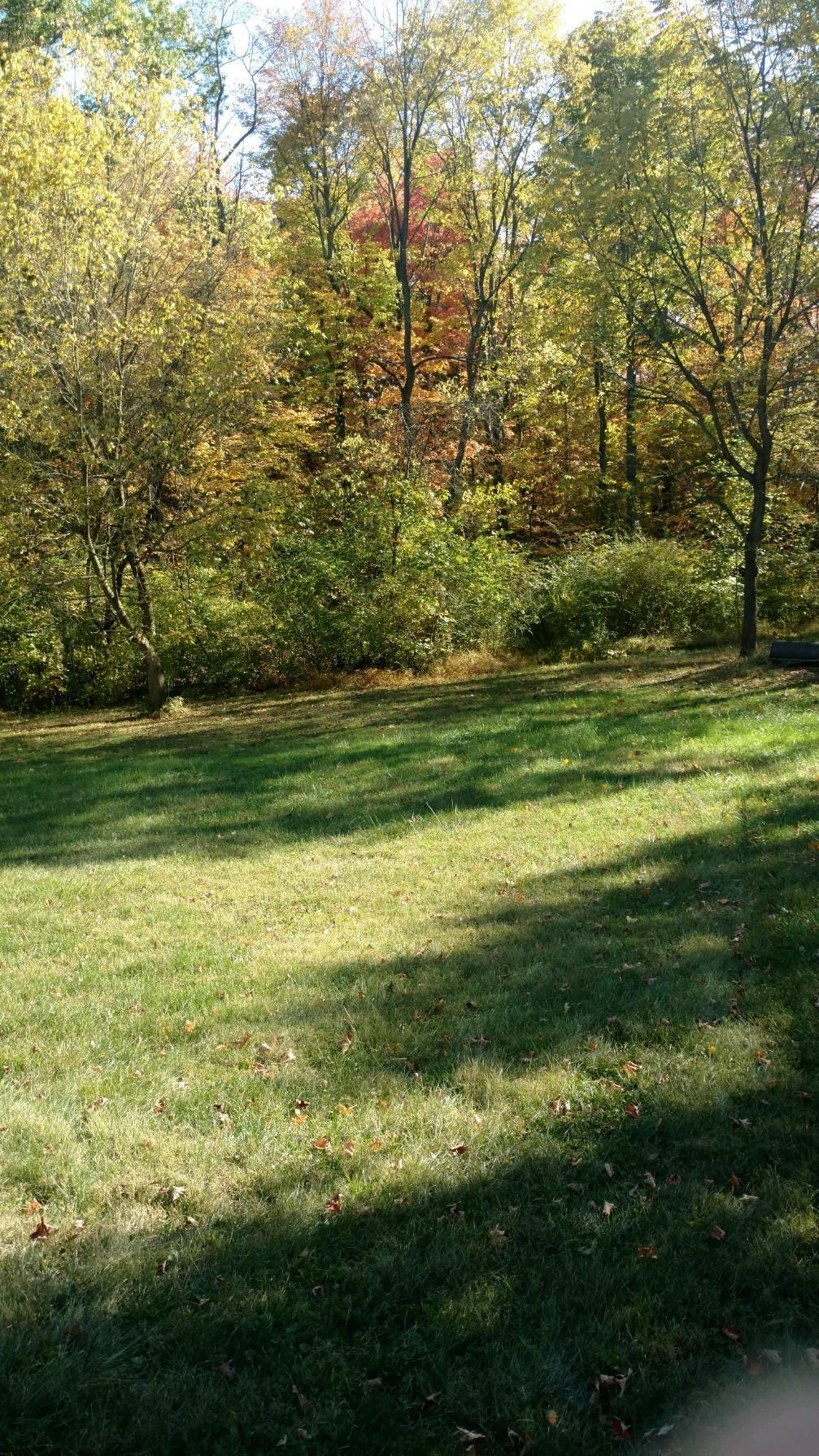 441 West Orange Road Powell, OH 43065 - Photo 10 of 10 Gallery Image 10