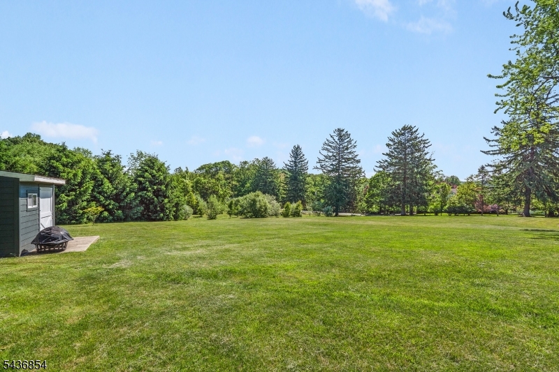 165 Fox Chase Road Chester, NJ 07930 - Photo 6 of 50