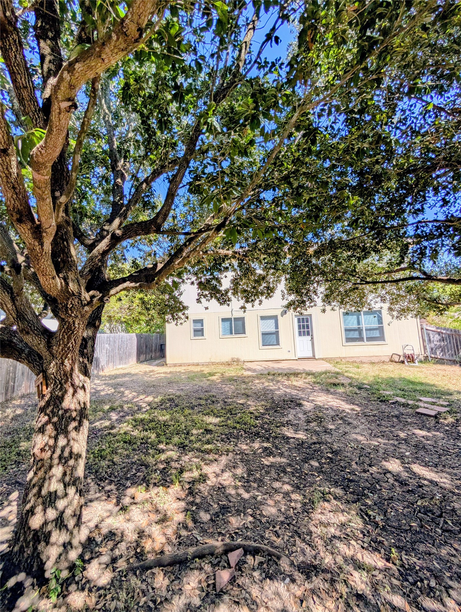 1209 Amberwood Loop Kyle, TX 78640 - Photo 20 of 21