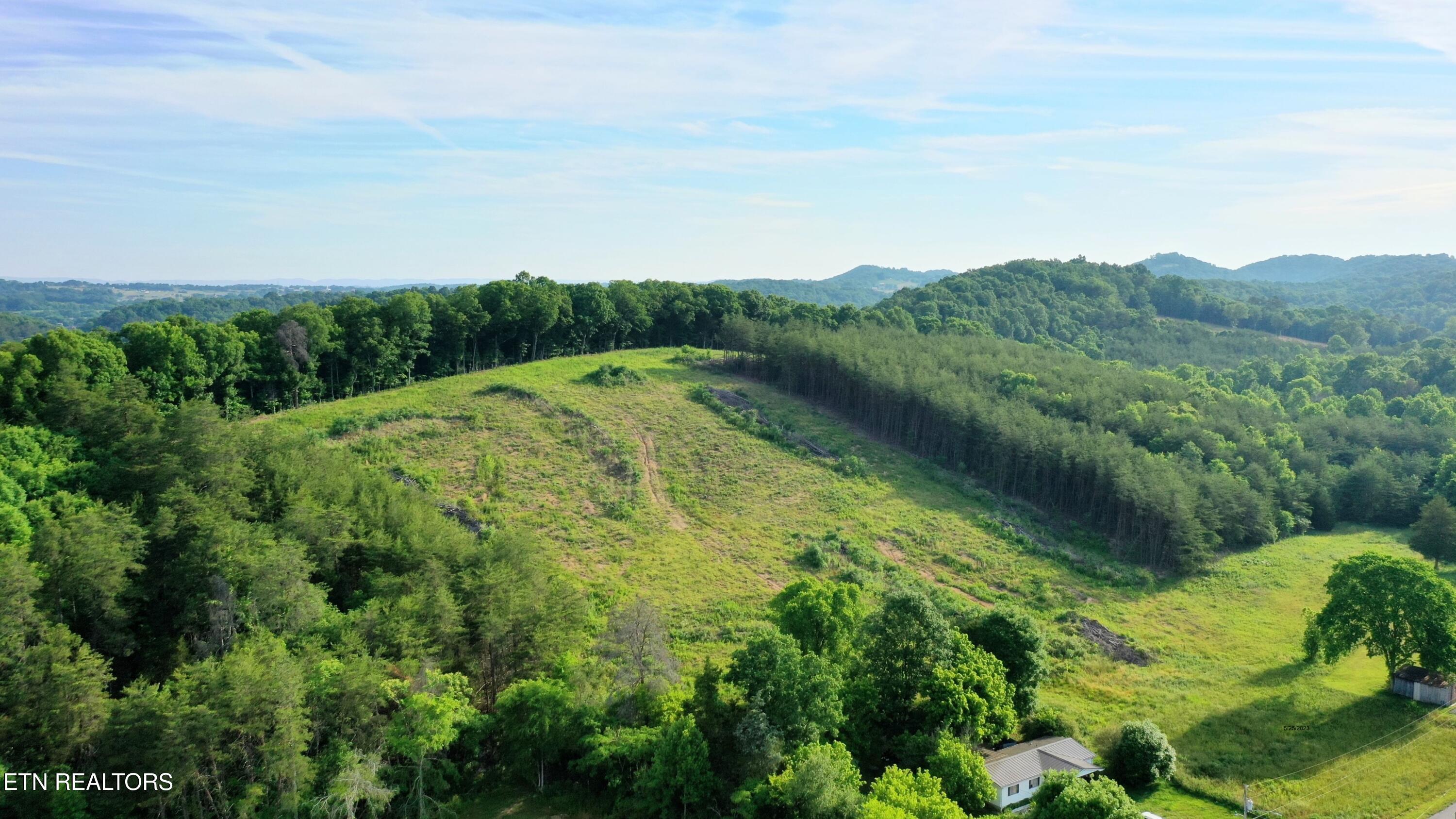 294 Milldale Road Dandridge, TN 37725 - Photo 4 of 7 Cate Cove -4