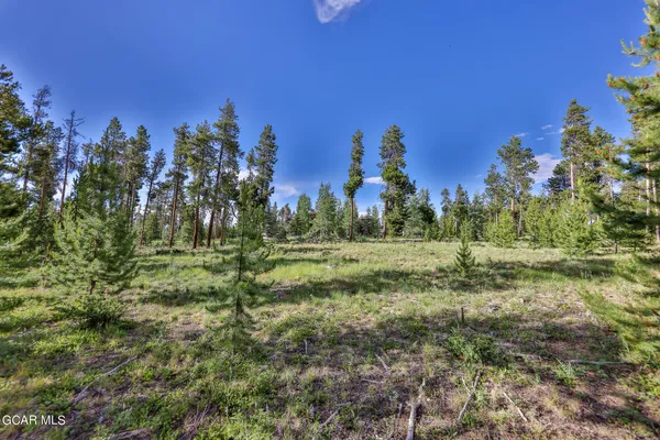 a view of a field with trees in the background