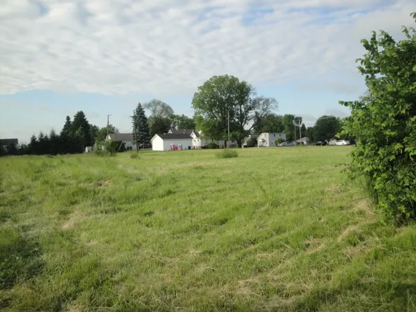 a view of a big yard with plants and large trees