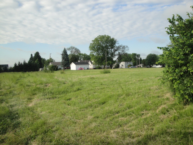 1607 Maple Road Joliet, IL 60432 - Photo 8 of 12 a view of a big yard with plants and large trees