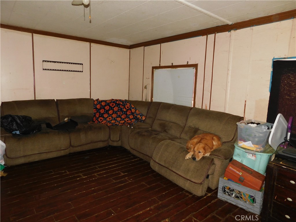 1097 North State Street, Unit 557 Hemet, CA 92543 - Photo 4 of 18 a living room with furniture