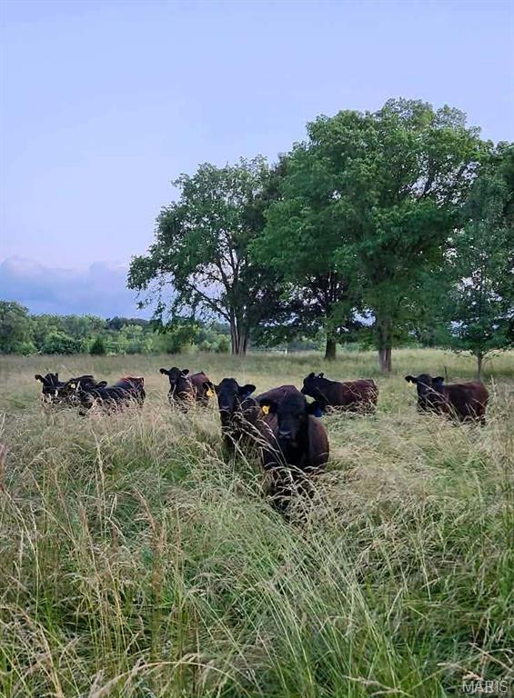 9081 West Red Oak Road Rosebud, MO 63091 - Photo 17 of 79