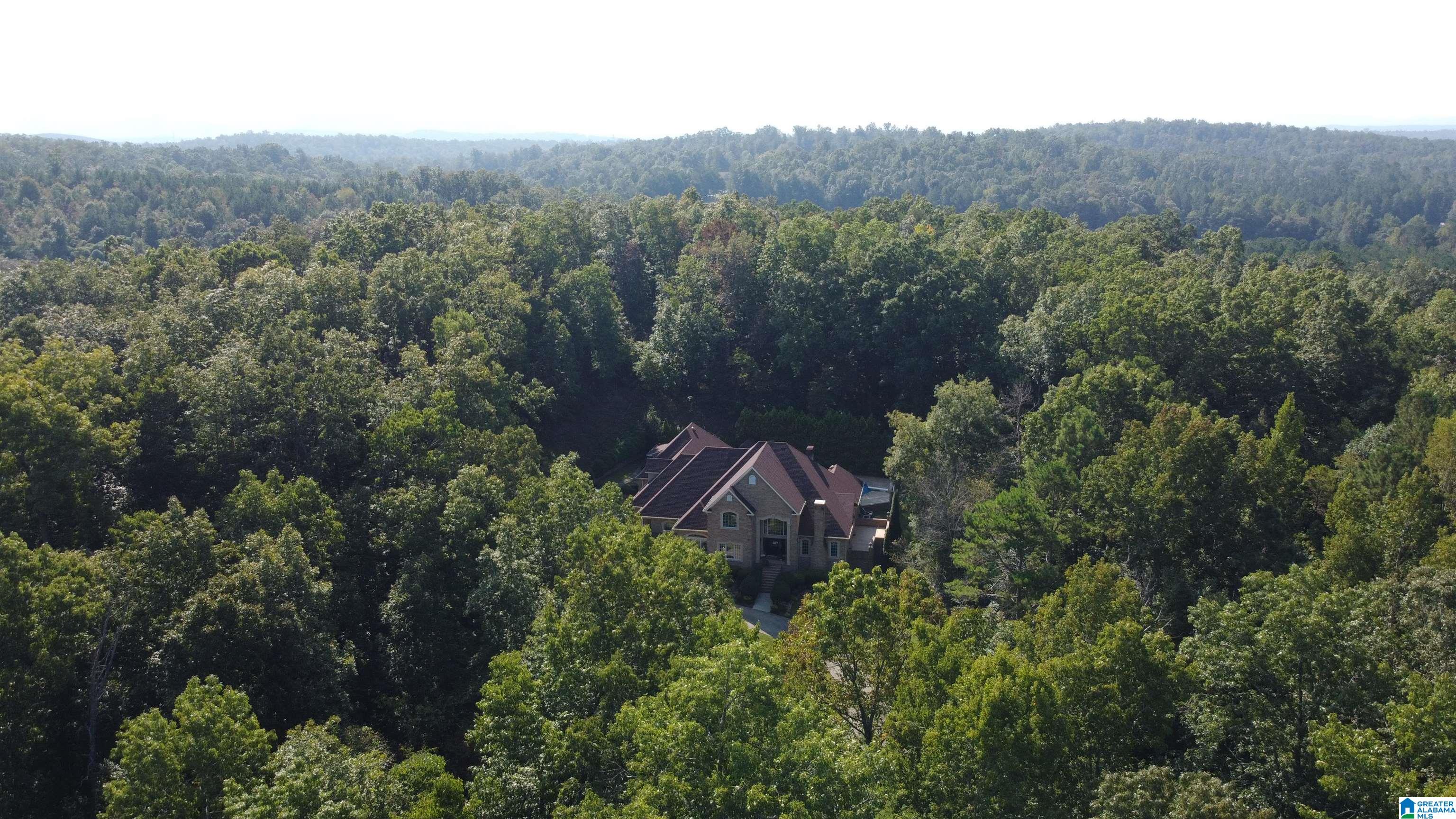 342 Forest Ridge Drive Jacksonville, AL 36265 - Photo 47 of 47