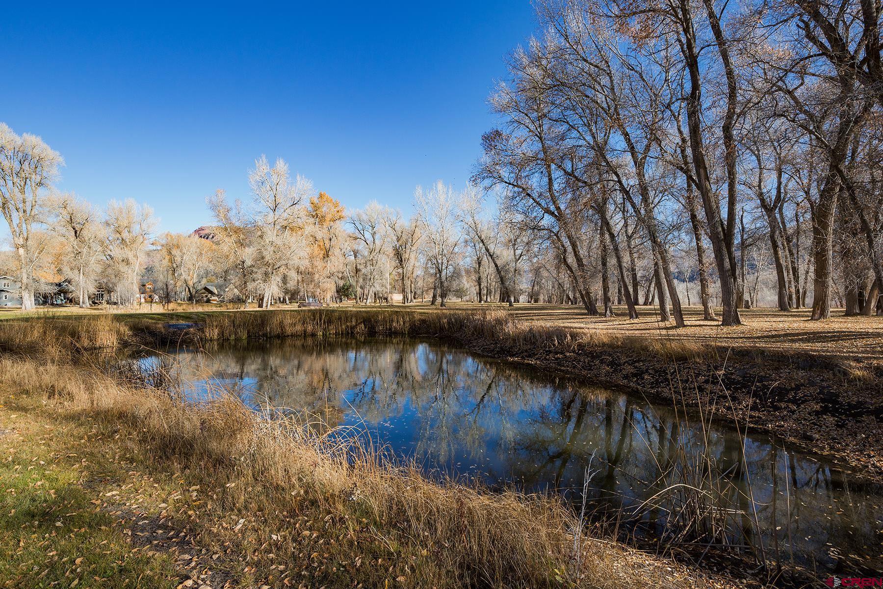 558 Hermosa Meadows Road Durango, CO 81301 - Photo 27 of 33 Gallery Image 27