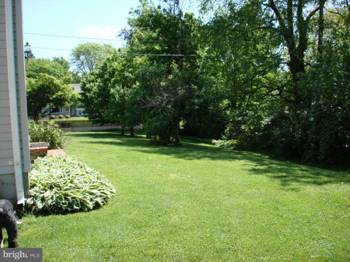 1599 Williams Road Abington, PA 19001 - Photo 20 of 20 Back Yard