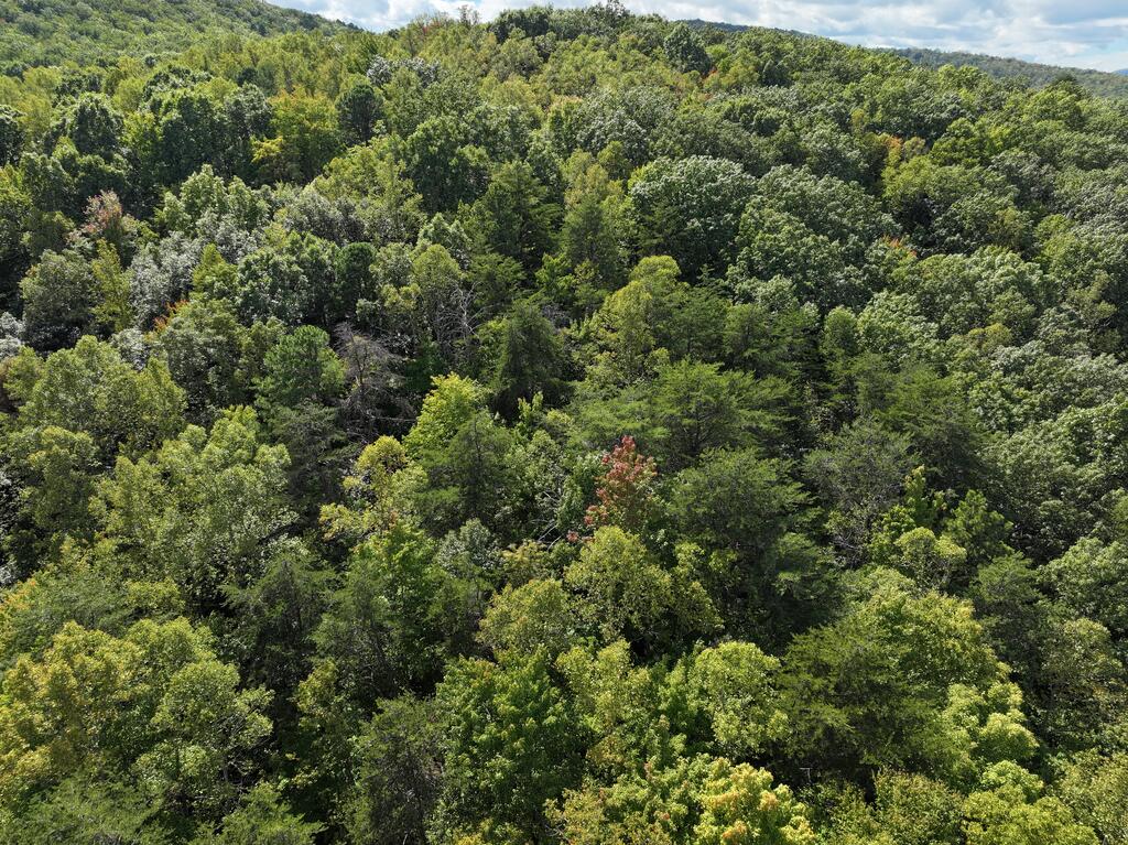0 Salem Church Road Patrick Springs, VA 24133 - Photo 3 of 13 Gallery Image 3