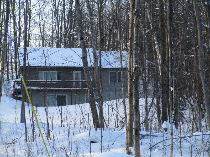 10436 Huffman Lake Road Vanderbilt, MI 49795 - Photo 30 of 34 Gallery Image 30