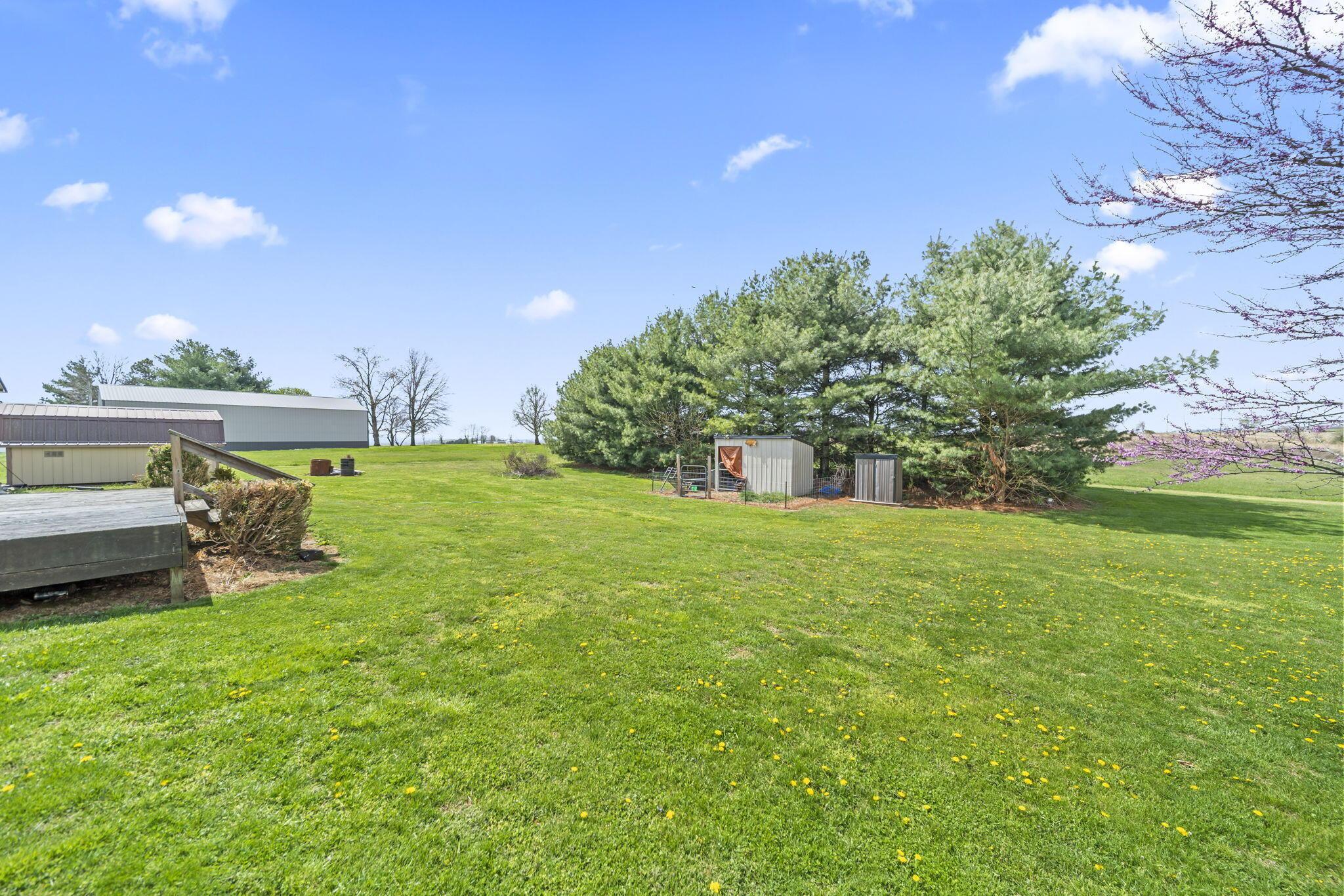 29521 Kime-Holderman Road Circleville, OH 43113 - Photo 40 of 58 Back Yard