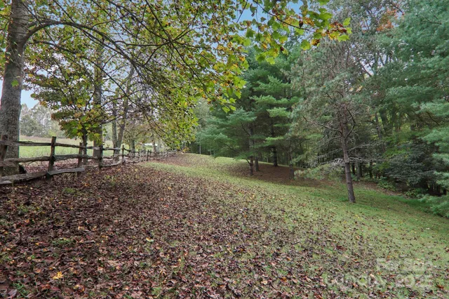 a view of outdoor space with garden
