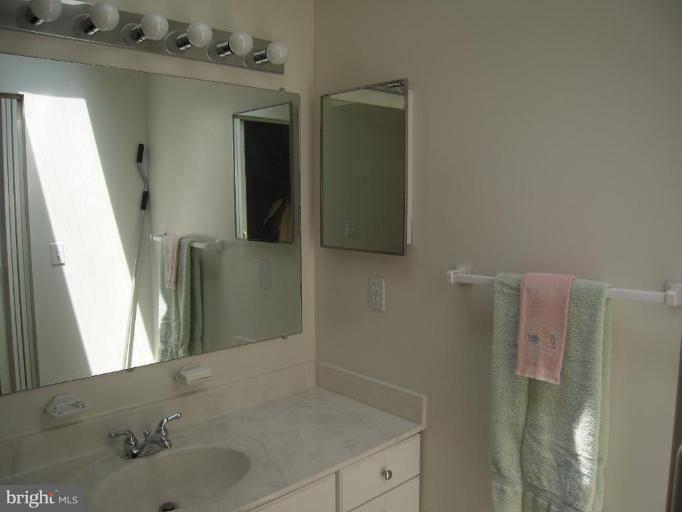 13305 Brackley Road Silver Spring, MD 20904 - Photo 14 of 29 Master Bath view 2