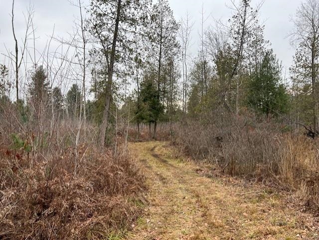 0 North Miller Road East Tawas, MI 48730 - Photo 12 of 23