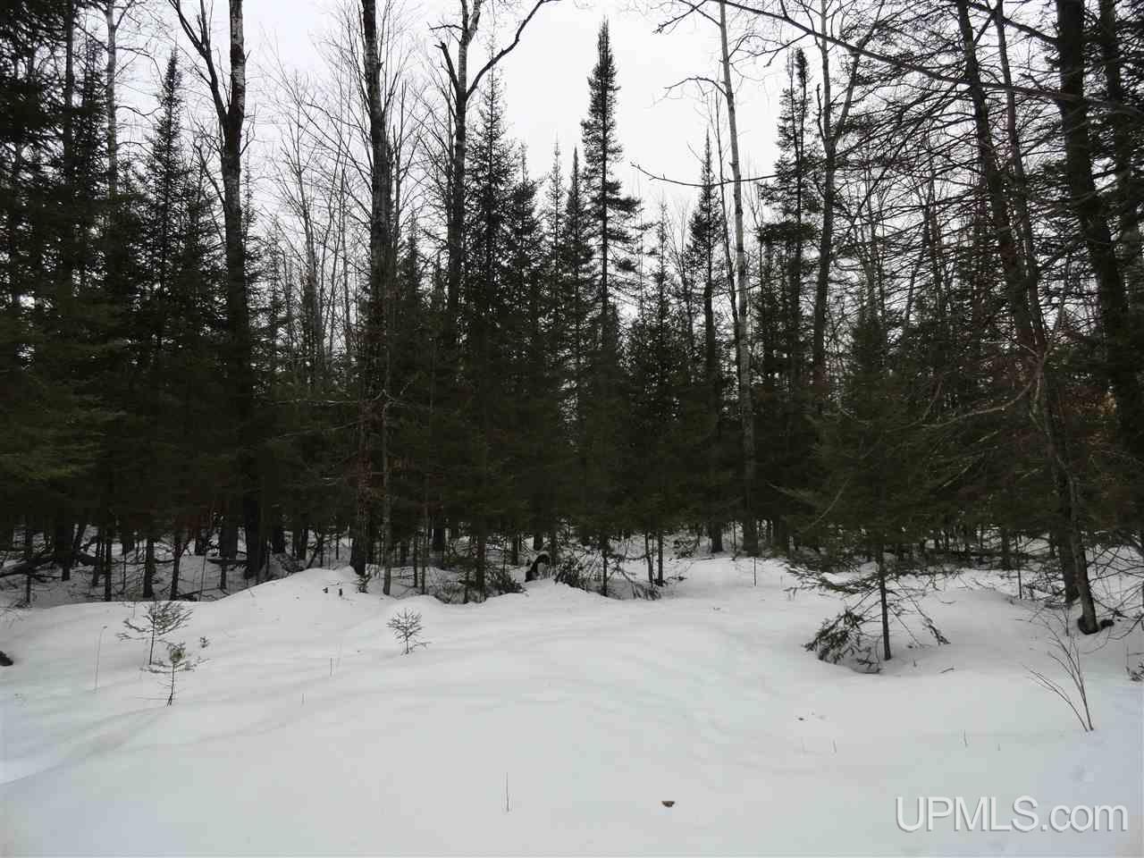 416 (23rd Road Gladstone, MI 49837 - Photo 32 of 36