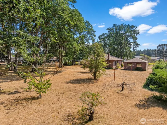 a street view covered with snow
