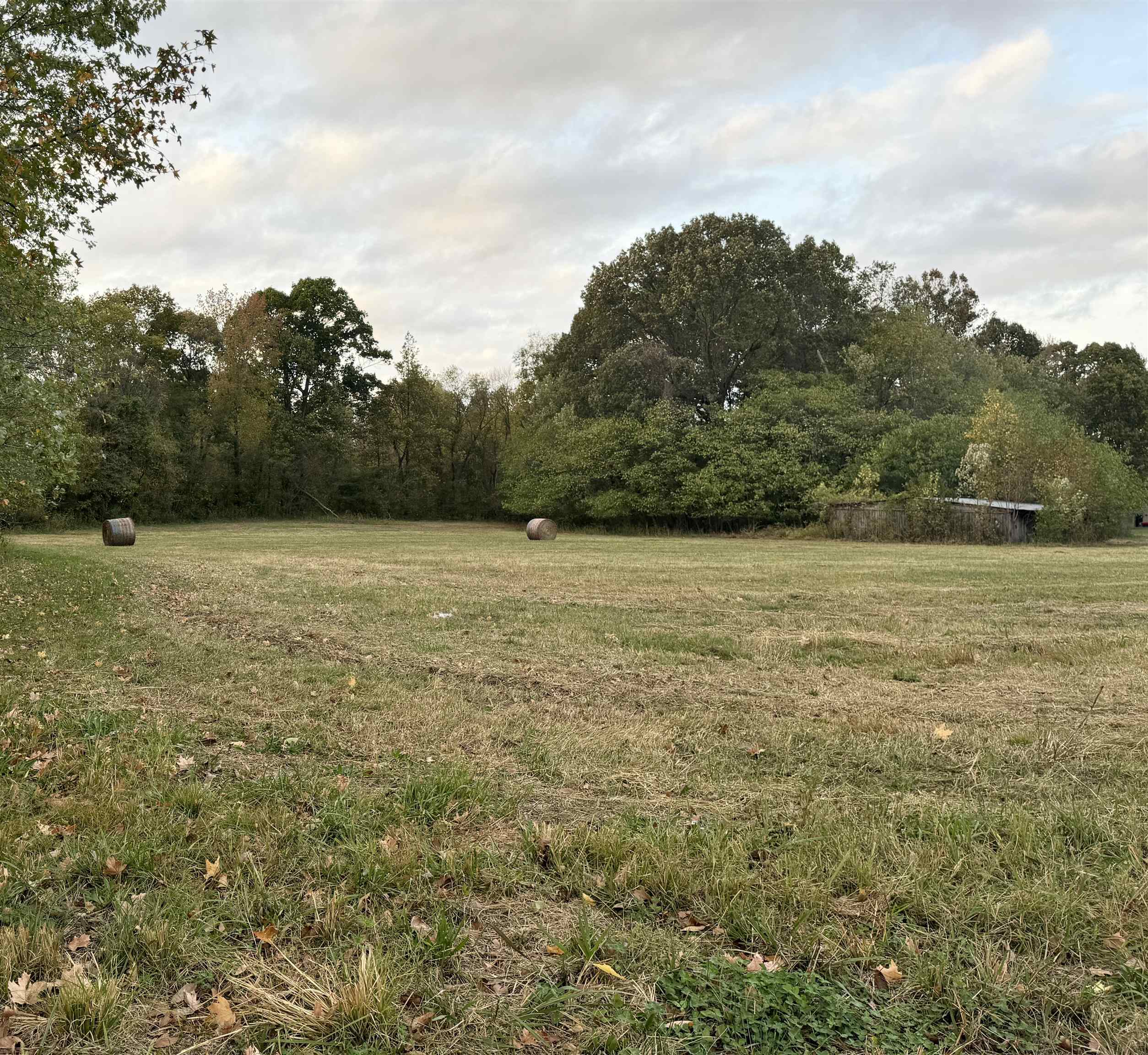 16 Asbury Glimp Road Ripley, TN 38063 - Photo 1 of 1 View of nature