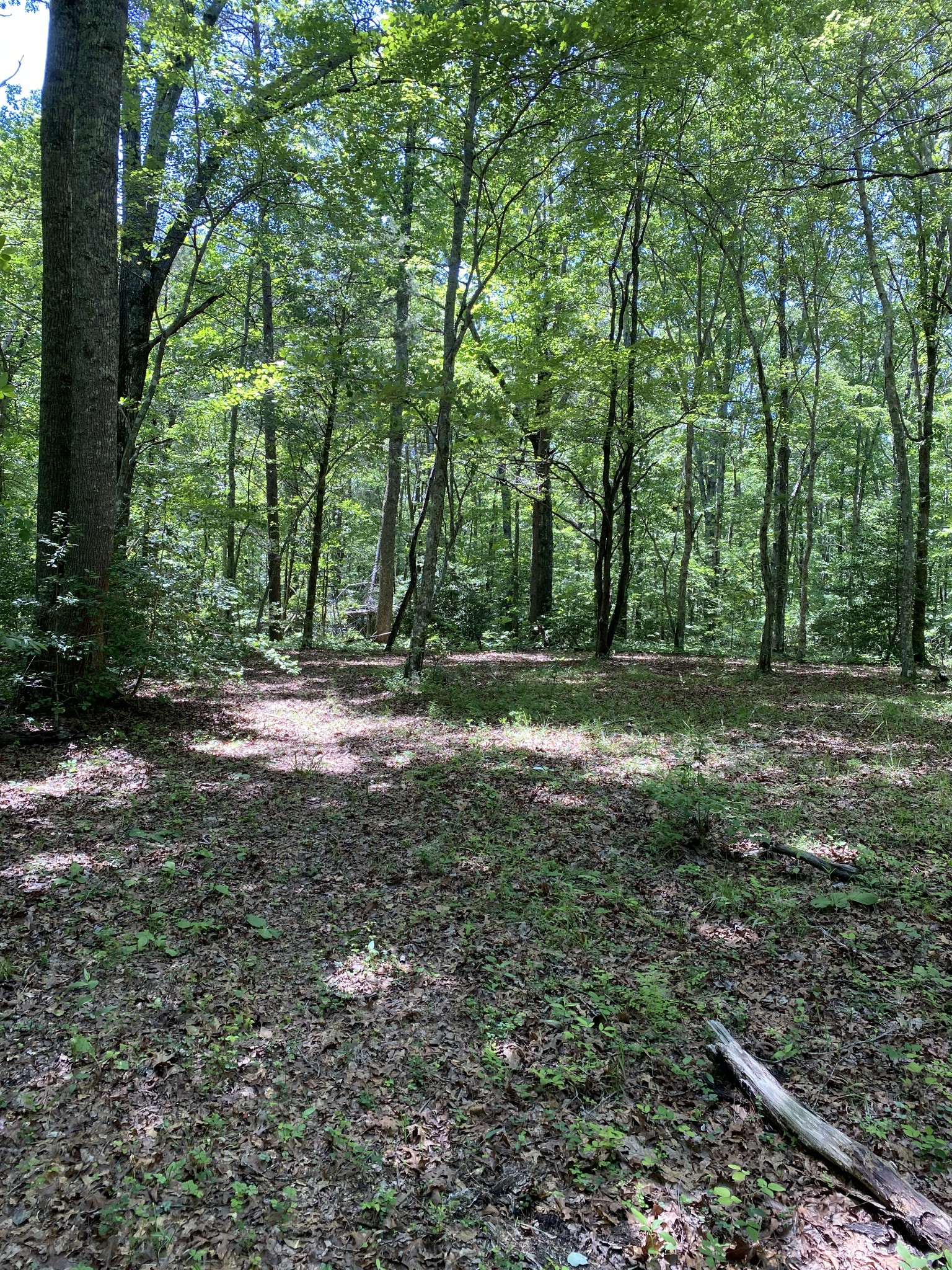 118 Cherokee Road Spencer, TN 38585 - Photo 53 of 85 a view of outdoor space with trees all around